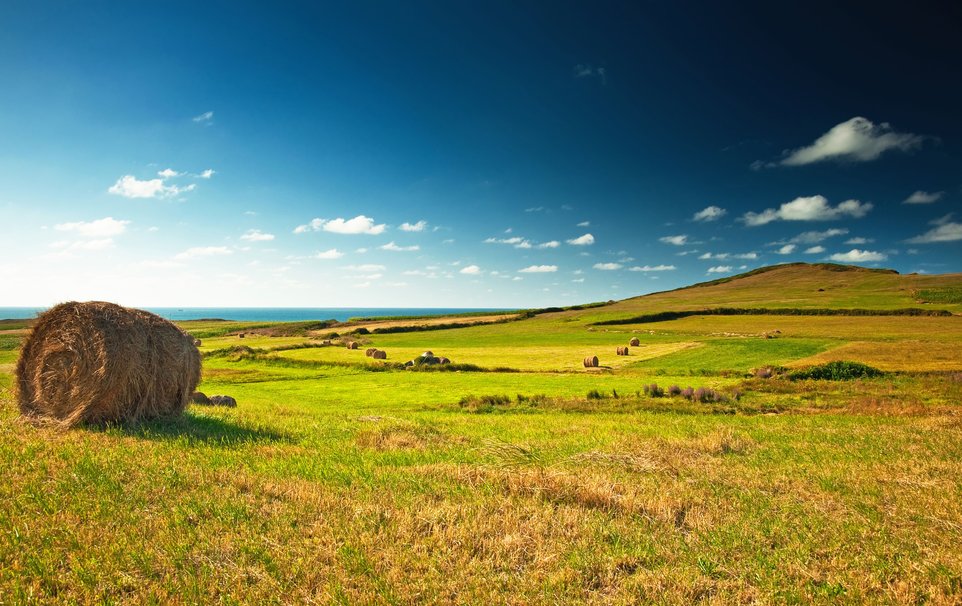 173279__green-field-landscape-great-view-meadow-village-green-field-haystack-hay-landscape_p